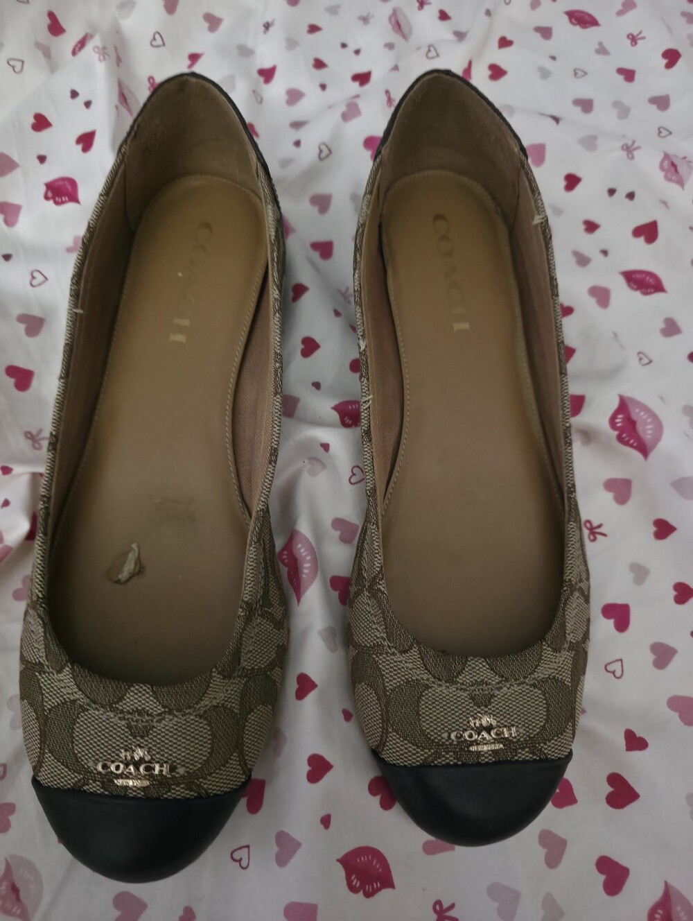 Coach Chelsea Ballet Flats